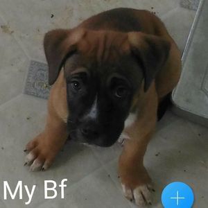 Meet your Posher, Ethan